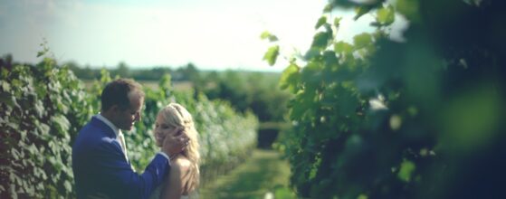 Carina und Alex stehen zwischen den Weinreben im Weingut Scheiblhofer und halten sich in der Abendsonne im Burgenland im Arm