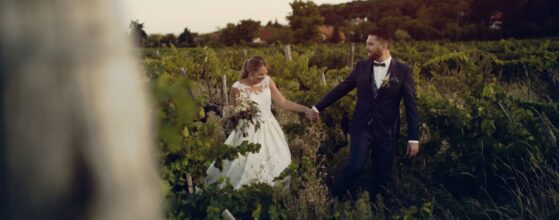 Christine und Thomas gehen Hand in Hand durch die Weinreben beim Weingut Schlossberg, kurz vor Sonnenuntergang – ein romantischer Moment aus ihrem Hochzeitsfilm.