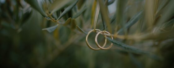 Die Eheringe von Gloria und Rudolf hängen an einem Olivenzweig am Vedahof in Gramastetten – Detailaufnahme aus ihrem Hochzeitsfilm.