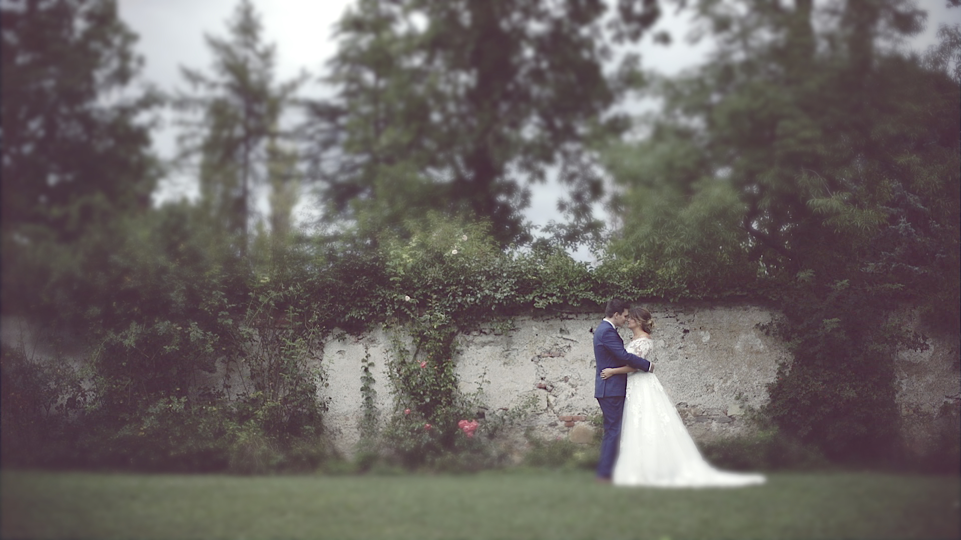 Daniela + Christian - Schloss Walpersdorf - hochzeit videograf