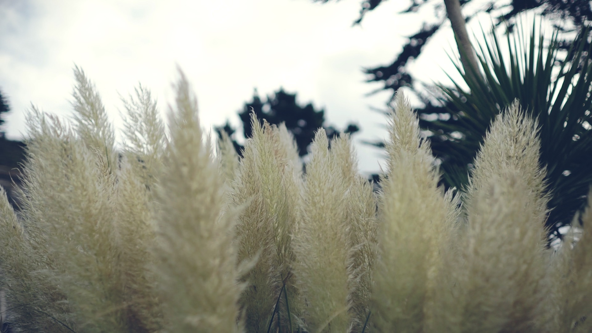 Lani + Olly - trailer - Fort Polhawn - Cornwall UK - wedding videography
