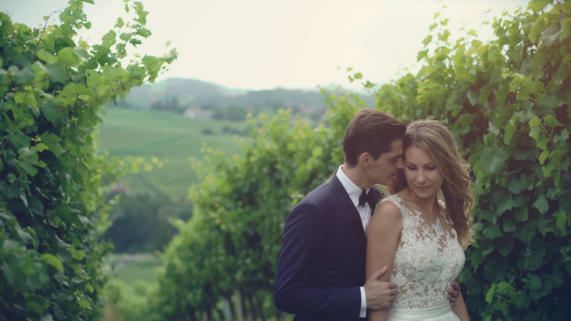 Brautpaar in den Weinreben beim Weingut Holler in Spielfeld, romantischer Moment von Lilly und Tom an ihrem Hochzeitstag, Hochzeitsvideo in der Südsteiermark.