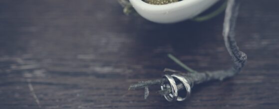 Die Eheringe von Nicole und Markus liegen auf einem kleinen Ast auf einem Holztisch bei ihrer Hochzeit am Kahlenberg in Wien