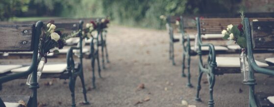 Outdoor Wedding Ceremony Videographer Mühlbach Manhartsberg Dekorierte Hochzeitsstühle mit weißen Blumen am Gang bei der Trauzeremonie von Dani und Alex in Mühlbach am Manhartsberg – rustikale Waldkulisse