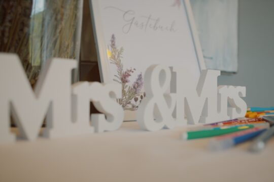SOPHIA + ANNA – hochzeit teaser – Weingut Hermann Moser – Rohrendorf bei Krems – hochzeitsvideograf